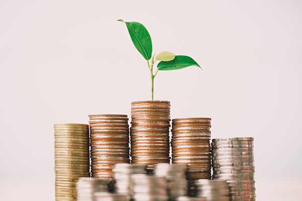 A plant grows on a tall stack of coins, surrounded by shorter stacks of coins